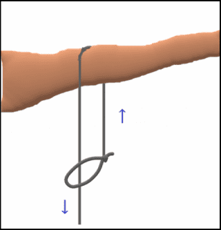 枝にもやい結びをする