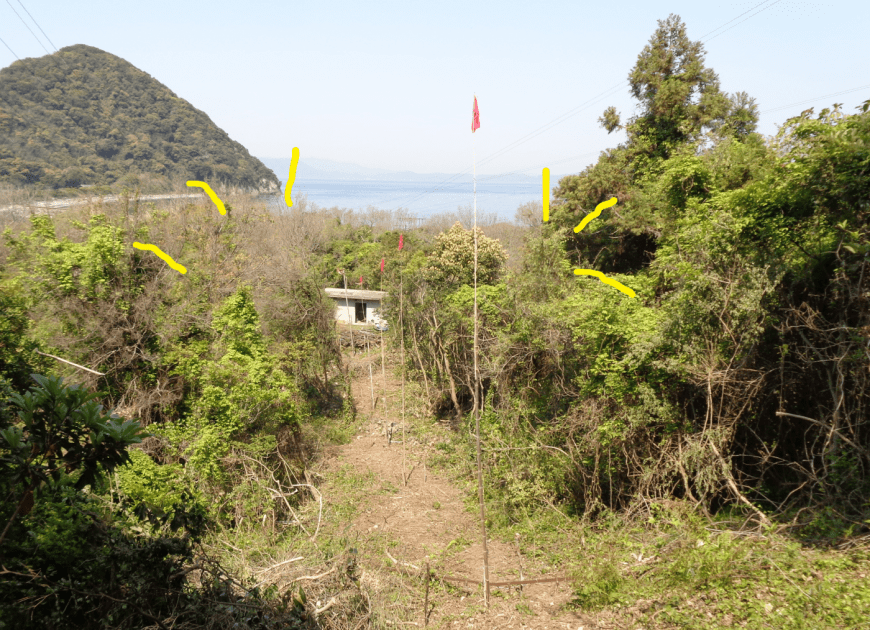 枝が伐採され、綺麗になったルート